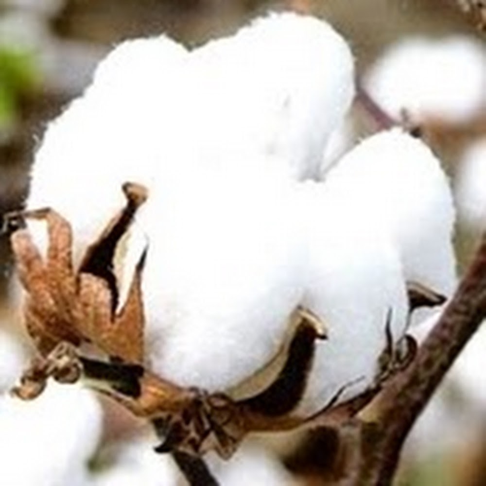 Meet your Posher, Stephen